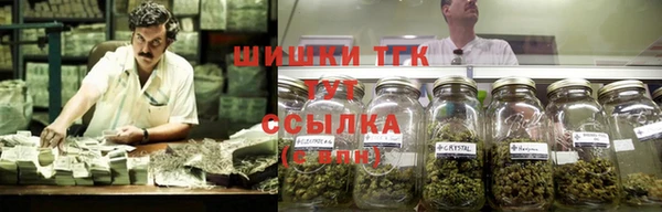 мдпв Михайловск