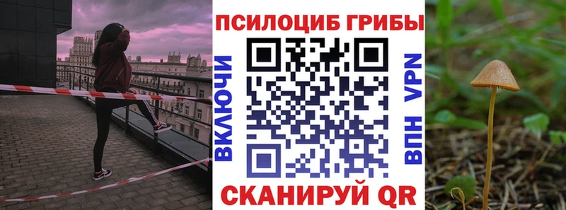 Псилоцибиновые грибы ЛСД дарнет шоп Неман